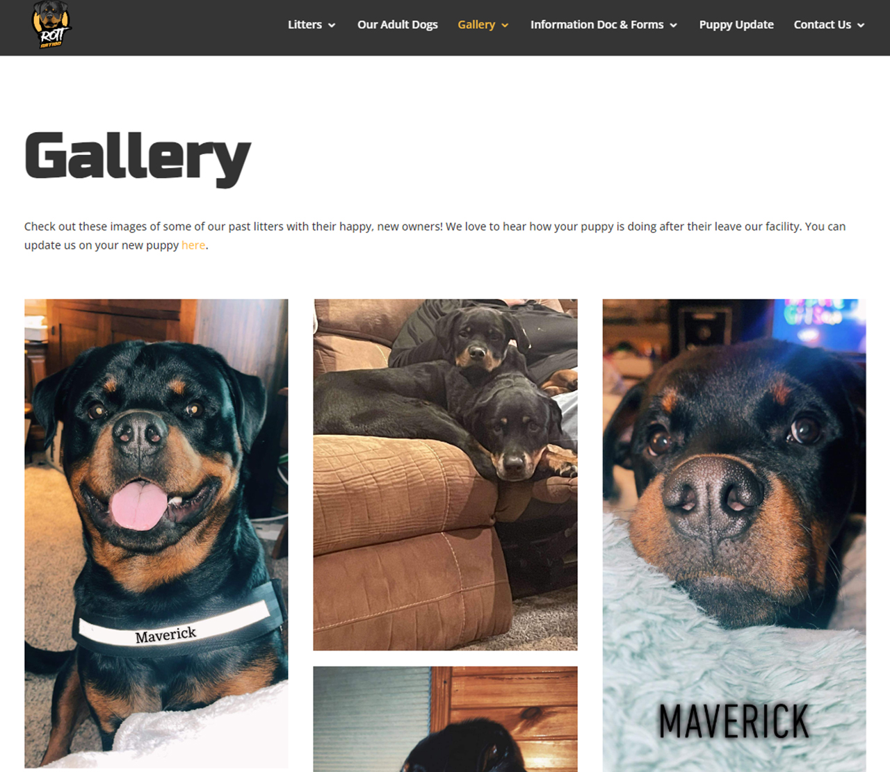 Rott Nation Gallery Page
